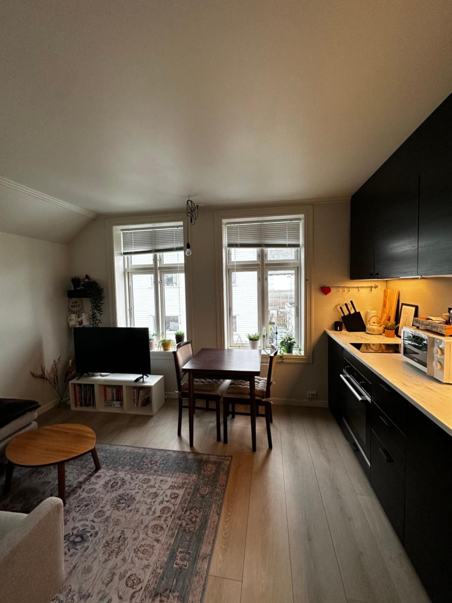 Bjorn's Sanctuary - City Center Stavanger