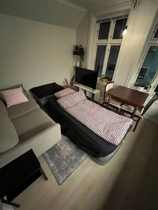 Apartment Bjorn's Sanctuary - City Center